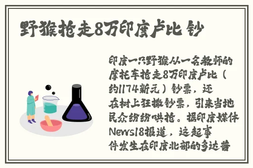 十九岁在线观看免费完整版电影
